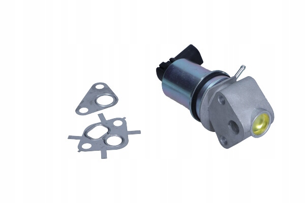VANNE EGR SEAT SEAT, VW EV020