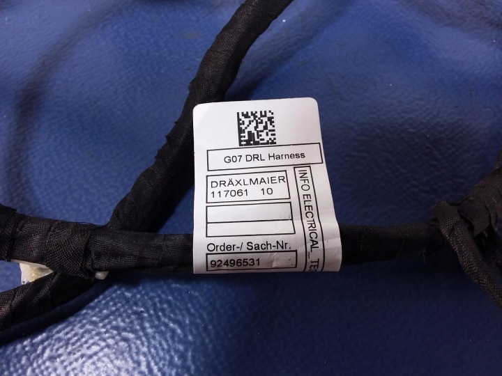 BMW X7 G07 FAISCEAU DE CÂBLES PORTES GAUCHE ARRIÈRE 8779824