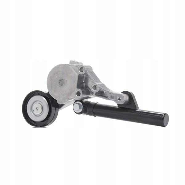 RIDEX 540T0010 TENDEUR COURROIE EN V MULTICANAL Ø70MM VERS SEAT INCA (6K9)