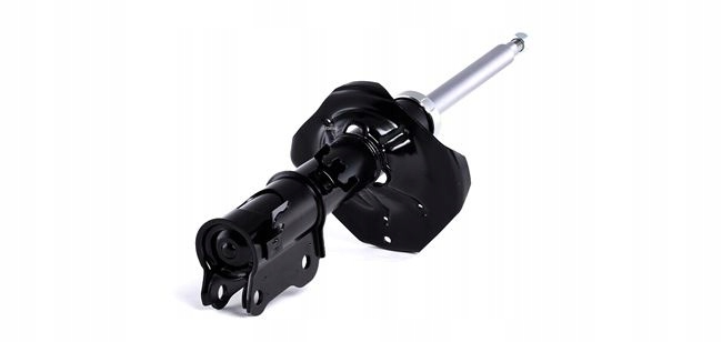 RIDEX 854S0505 AMORTISSEUR GAZEUX ENTRETOISE SUSPENSIONS AVANT LEWO