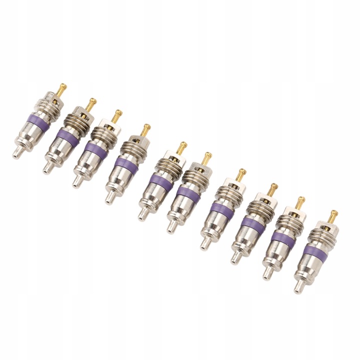 REMPLACEMENT RDZENIA SOUPAPE VERS CLIMATISEUR AUTOMOBILE ESSENCE 20PCS KIT