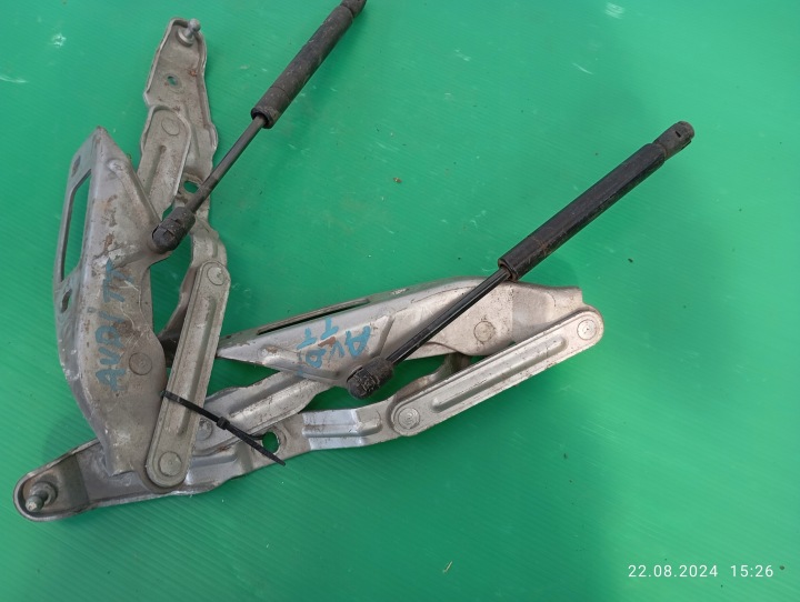 CHARNIÈRES CAPOTS RH LH AUDI TT 8N0823301 8N0823302