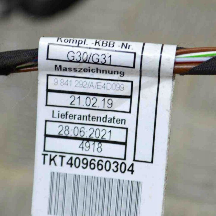 FAISCEAU DE CÂBLES ARRIÈRE DROITS PORTES BMW 5 (G30) 9841292 14379267 2.0L 140KW 2021