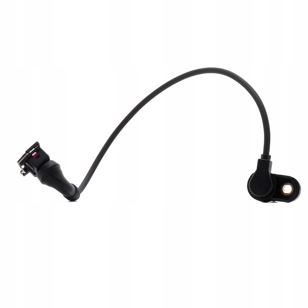 RIDEX 3946S0110