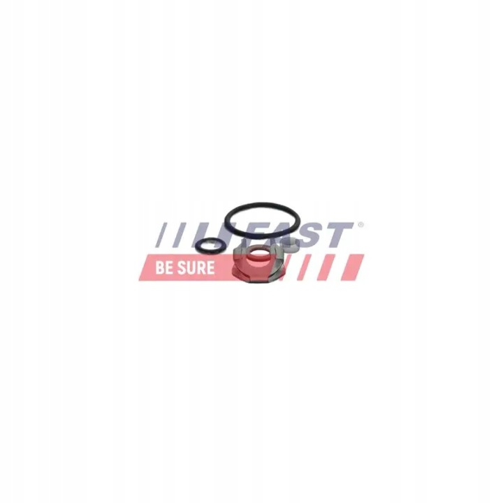 ENSEMBLE RÉPARATION CHAPEAU D'INJECTEUR FT01834 FAST