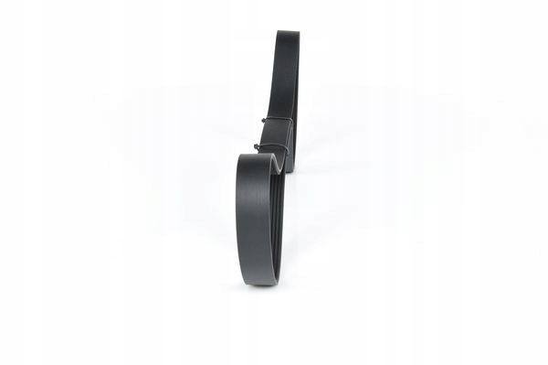COURROIE WIELOROWK. 8PK1395