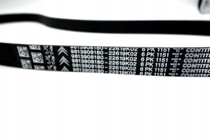 KIT COURROIE WIELOROWK. CITROEN BERLINGO, DS7 1,5-1,6D 16-
