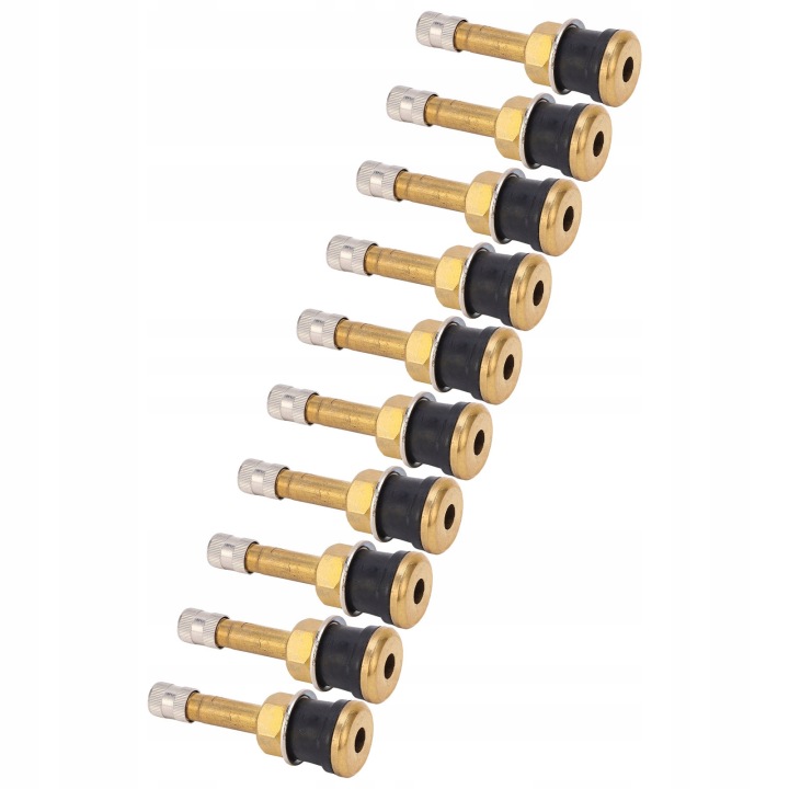 10 PCS TRZPIENI SOUPAPES TR500 SIMPLE EN LAITON ÉTRIER DE FREIN À DUZEJ G8