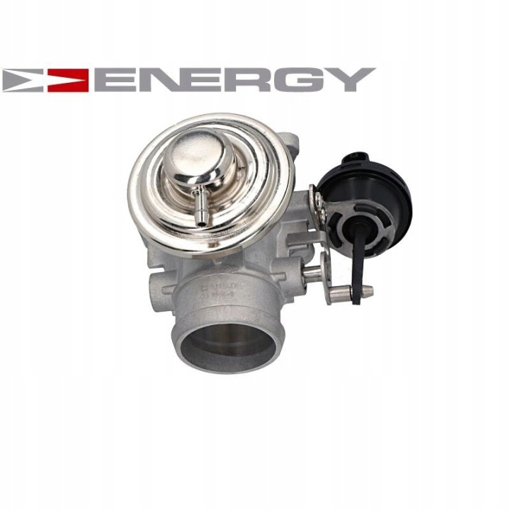 VANNE EGR 1100628