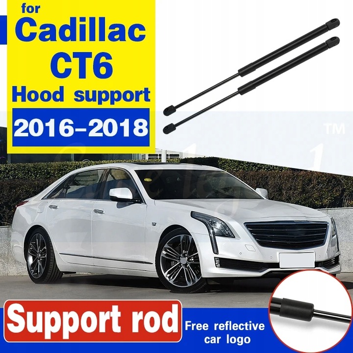 FOR CADILLAC CT6 2016-2018 2 PIECES CARS FRONT PROTECTION SILNIK~17461 