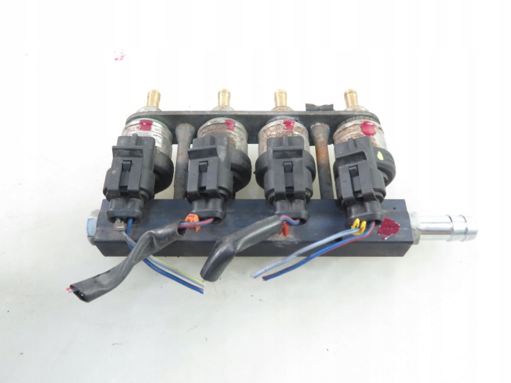 MOULURE INJECTION LPG ALEX 67R016407