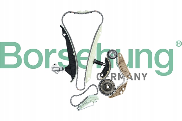 BORSEHUNG B19209 KIT CHAÎNES DISTRIBUTION