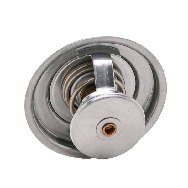 RIDEX 316T0023 THERMOSTAT LIQUIDE REFROIDISSEMENT 92°C VERS VW PASSAT VARIANT (3B6)