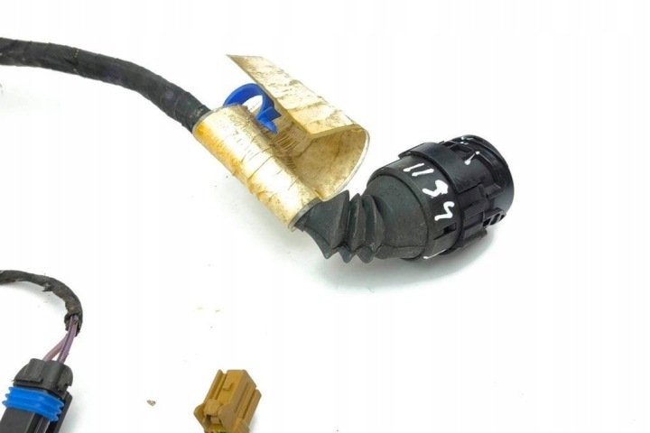 FAISCEAU DE CÂBLES ARRIÈRE GAUCHES PORTES MASERATI QUATTROPORTE V 200536 4.3L GASOLINE