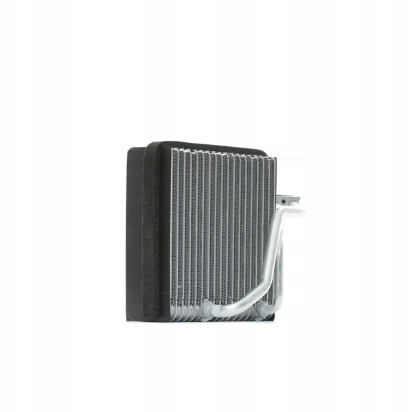 RIDEX 471E0006 ÉVAPORATEUR CLIMATISATION VERS VW GOLF IV BERLINE COMPACTE (1J1) LUPO
