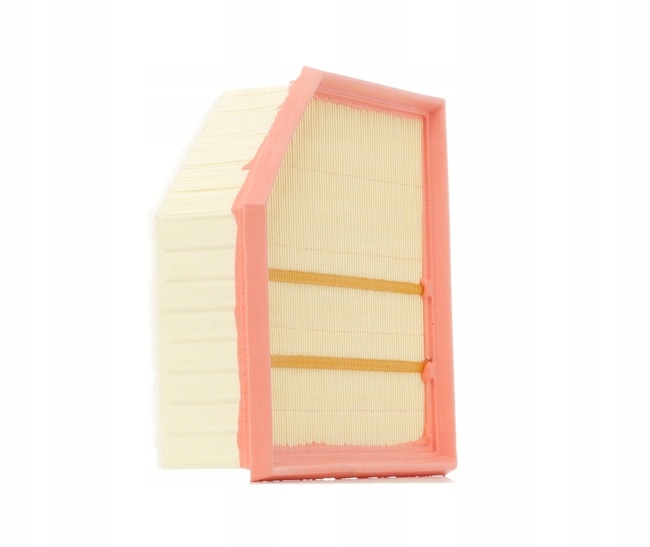 RIDEX 8A0155 FILTRE AIR