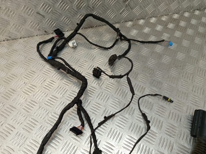 BMW F40 FAISCEAU DE CÂBLES INSTALLATION ÉLECTRIQUE ÉLECTRIQUE PORTES AVANT 8714333