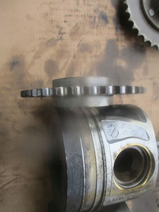 KOLO DENTÉ GALET DISTRIBUTION 059 109 116G 059 109 116G