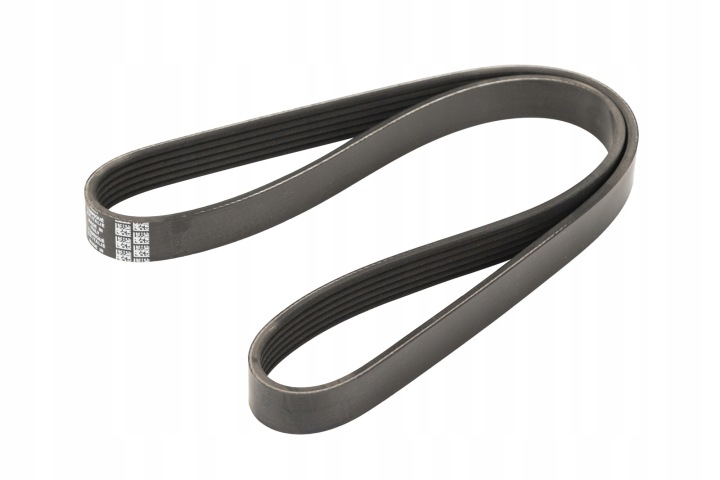 DAYCO 6PK1000 COURROIE EN V MULTICANAL