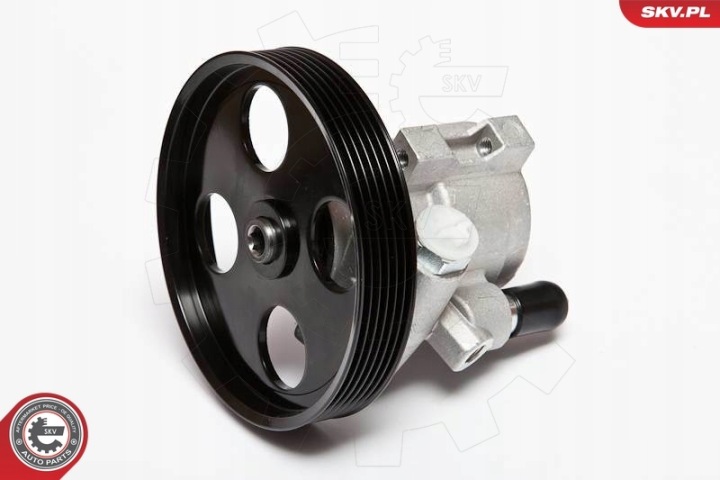 ESEN SKV POMPE AMPLIFICATEUR 10SKV069 4647426