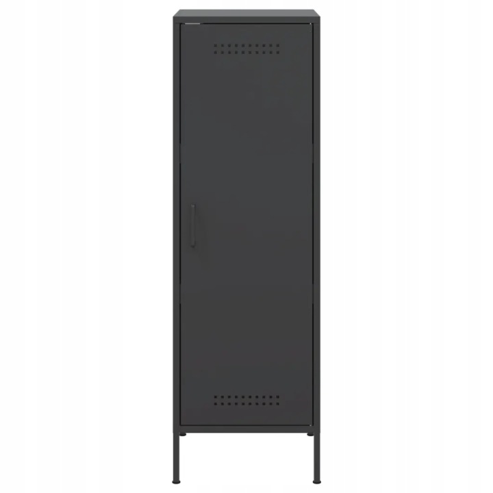 VIDAXL CASIER NOIRE 36X39X113 CM, ACIER