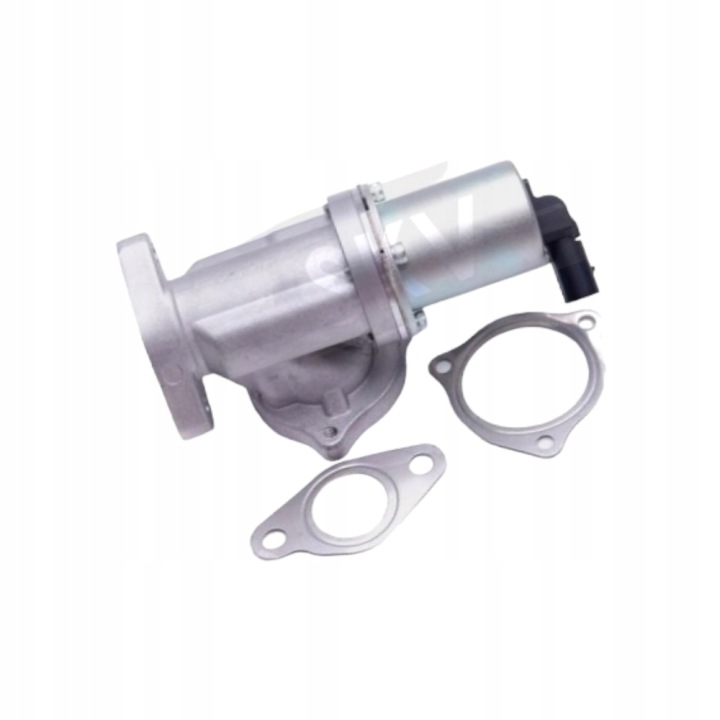 EGR SOUPAPE ESEN SKV 14SKV209