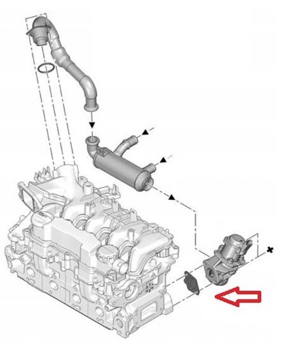 BRIDA CIEGA EGR PEUGEOT FORD CITROEN HDI TDCI 