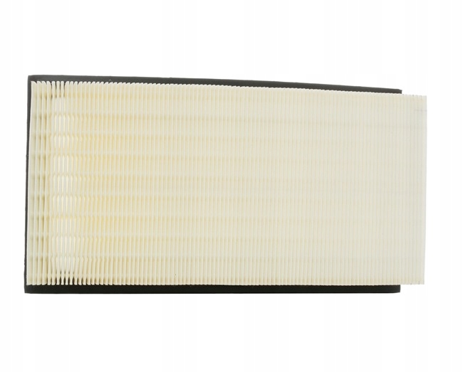 RIDEX 8A0423 FILTRE AIR