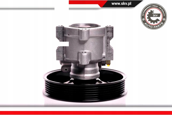 ESEN SKV POMPE AMPLIFICATEUR VOLVO S40 I VS V40 ESTATE VW