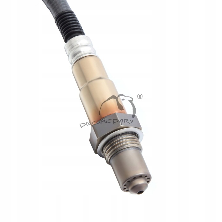 DROMEDARY 0281004480 SONDE LAMBDA