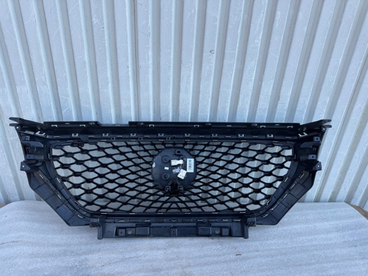 MG ZS GRILLE CALANDRE RADIATEUR CAMÉRA 10021164