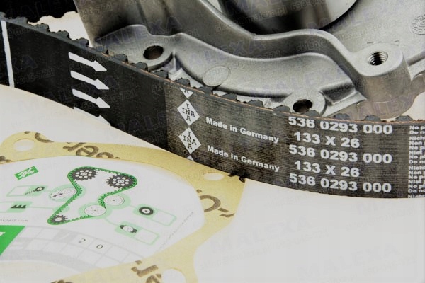 KIT DISTRIBUTION RENAULT/NISSAN 1.9DCI 02 SKF VKMA06129