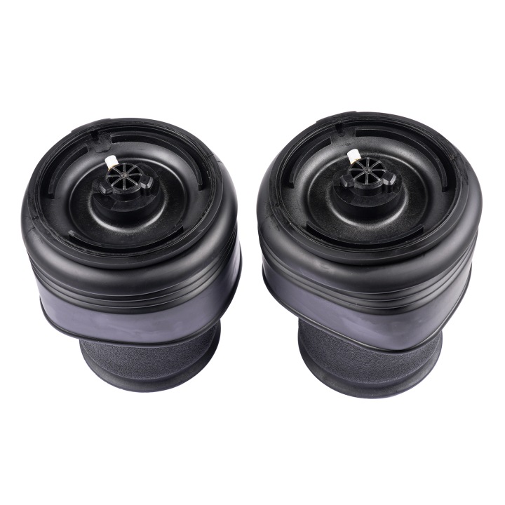 2*TYLNE SUSPENSION PNEUMATIQUES POUR BMW X5 F15 X6