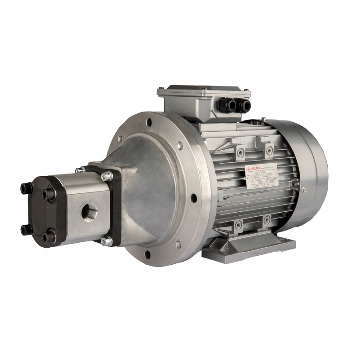 LUPARKA VERS DREWNA 6T 9-12S SERVOMOTEUR POMPE MOTEUR RÉSERVOIR 100L DISTRIBUTEUR