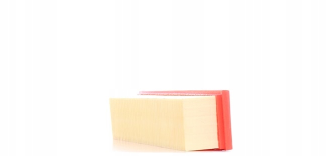 RIDEX 8A0422 FILTRE AIR