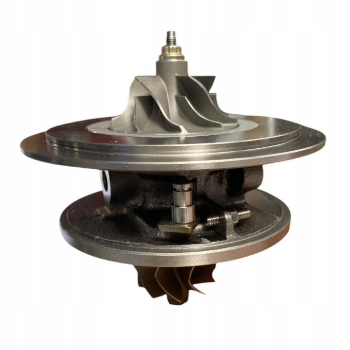 NOYAU TS A5573 IVECO 3.0HPI 06-11