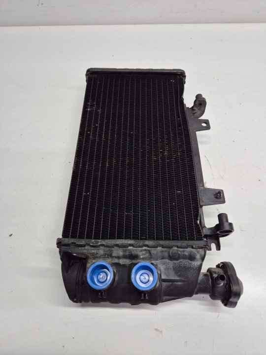 BMW F 800 R (11) RADIATEUR EAU
