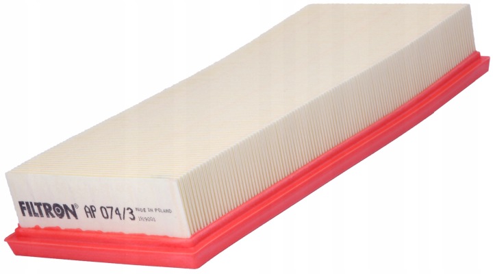 FILTRE AIR FILTRON AP074/3 C3498