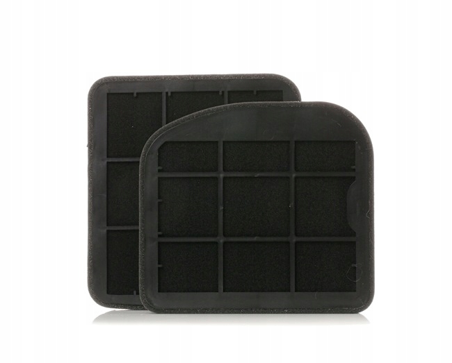 RIDEX 424I0299 FILTRE VENTILATION ESPACES PASAZERSKIEJ FILTRE AVEC WEGLEM