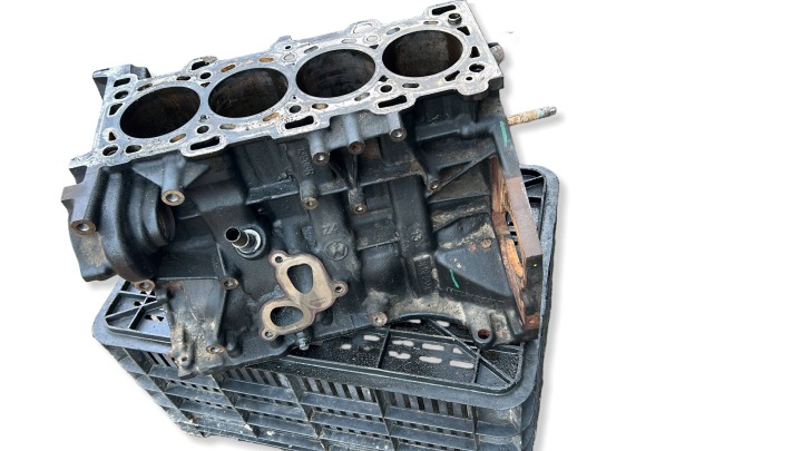 BLOC MOTEUR NISSAN QASHQAI 2.0DCI M9RW855