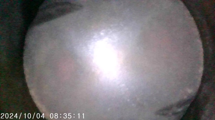 MOTEUR K4J C 710 RENAULT CLIO II 1.4 16V FILM