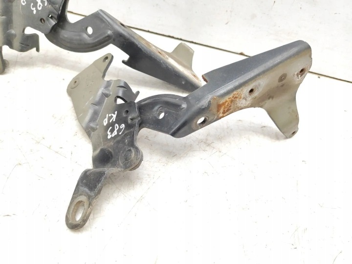 ENSEMBLE CHARNIÈRES CAPOTS RENAULT ESPACE IV (JK0/1_) 8200011693 2.0L DIESEL