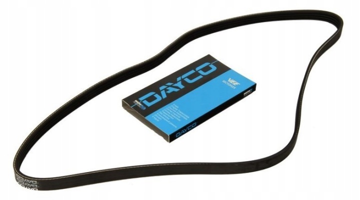 DAYCO 4PK954 COURROIE EN V MULTICANAL