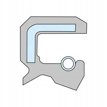 MASTIC D'ÉTANCHÉITÉ HUILES 18X30X7 MM TYPE CC VITON RESSORT AVEC ACIER INOXYDABLE