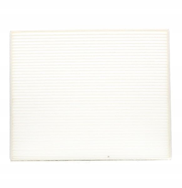 RIDEX 424I0080 FILTRE VENTILATION ESPACES PASAZERSKIEJ VERS OPEL ADAM (M13)