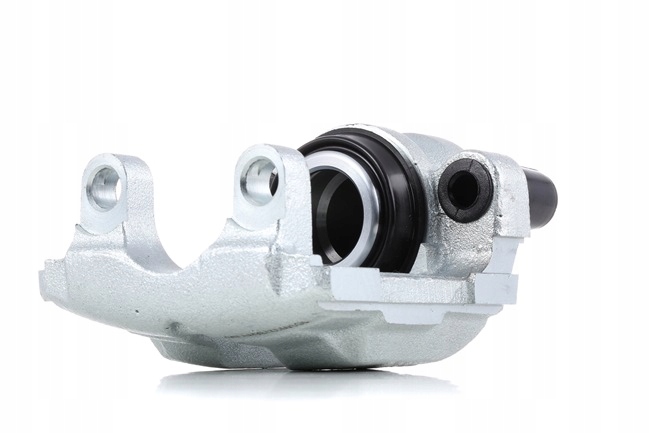 RIDEX 78B0362 ÉTRIER DE FREIN DE FREIN ARRIÈRE LEWO ARRIÈRE VERS BMW 3 TOURING (E91) X1 (E84)