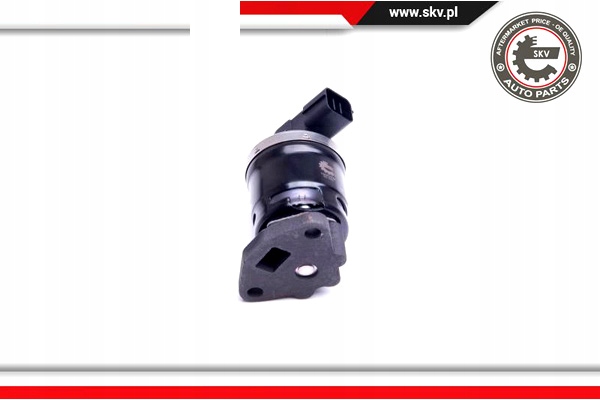 ESEN SKV VANNE EGR 14SKV210