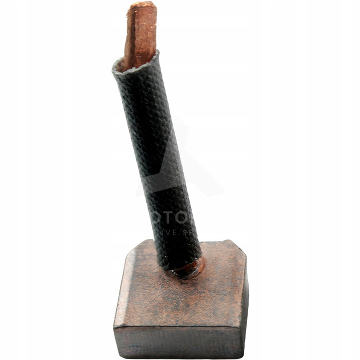 BROSSES DÉMARREUR MOTORITE 070.242.912