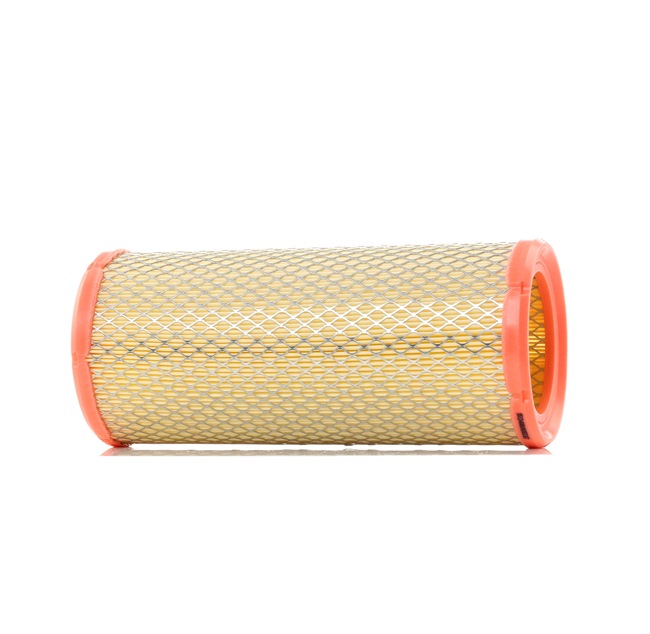 RIDEX 8A0366 FILTRE AIR VERS PEUGEOT 306 SCHRÄGHECK (7A, 7C, N3, N5)