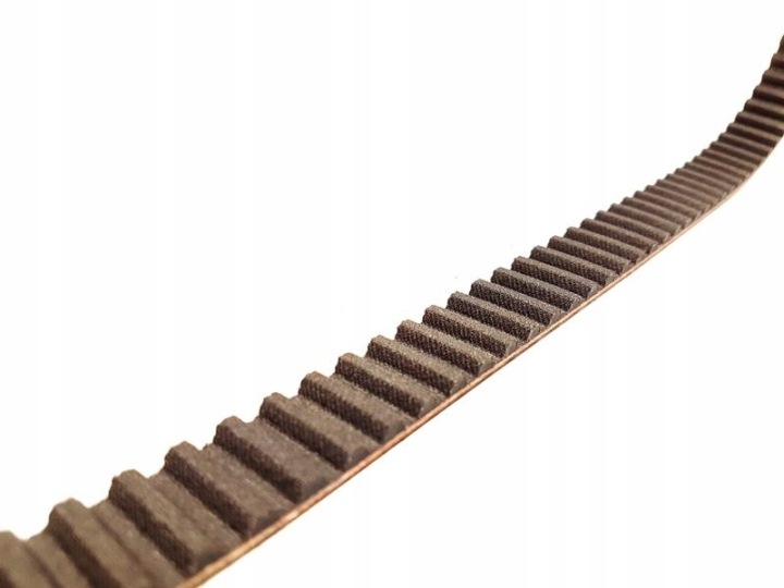 COURROIE DE DISTRIBUTION SEAT VW (135)